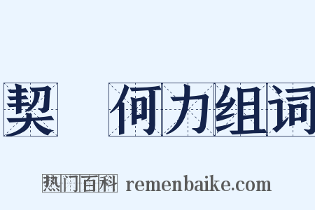 契苾何力组词是什么意思的图片